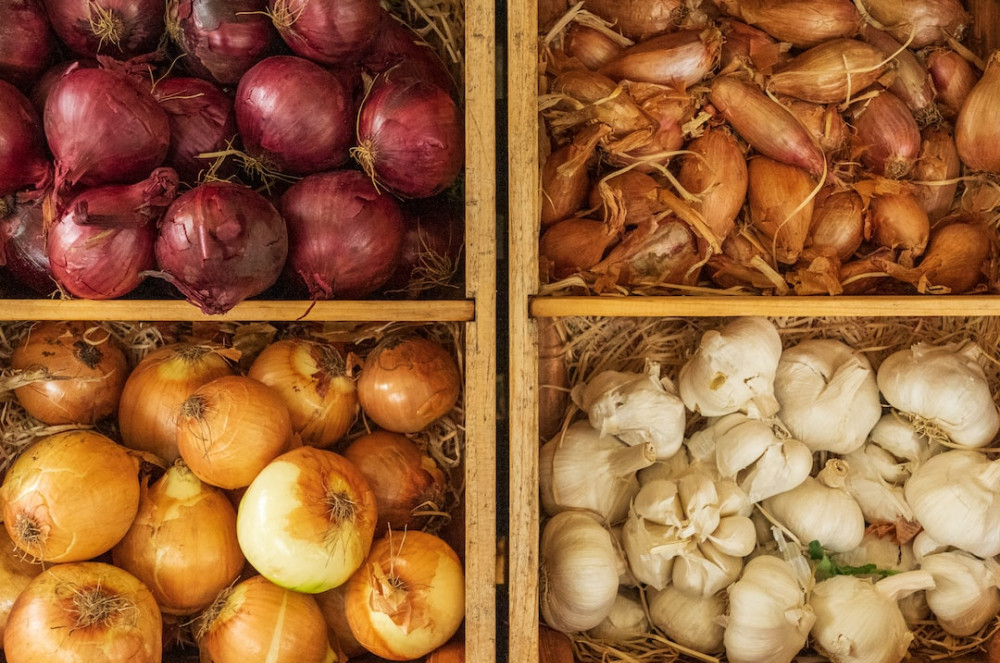 world of vegetables including onions and garlic