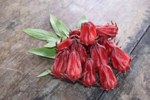 roselle hibiscus edible flower 