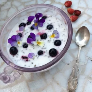 plant based chia pudding for edible flowers