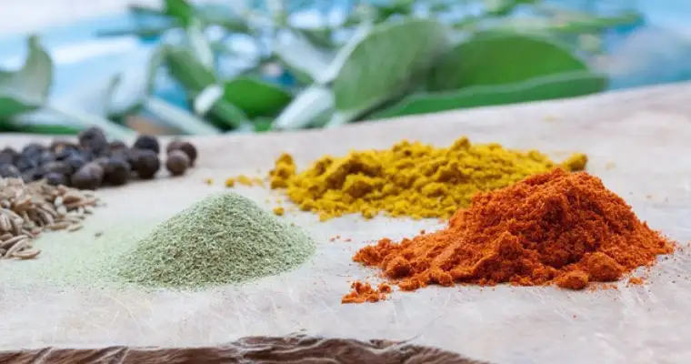 Culinary Spices and Herbs