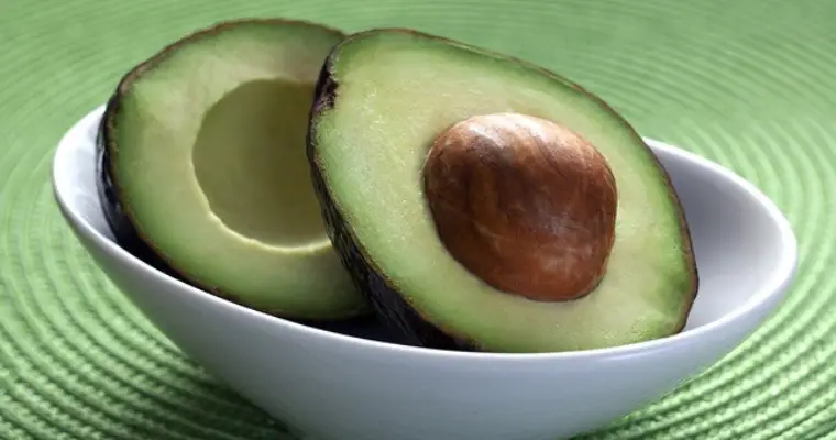 interesting facts about avocados bowl full