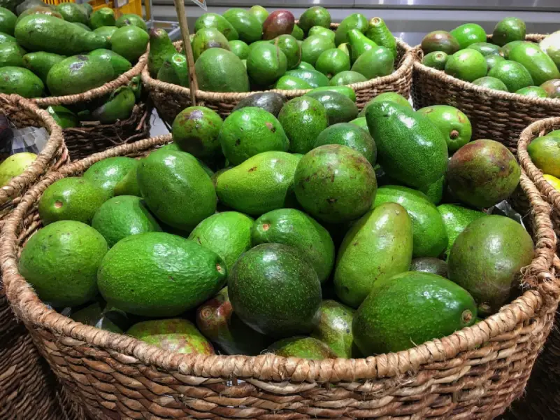 interesting facts about avocados baskets full of fruit 